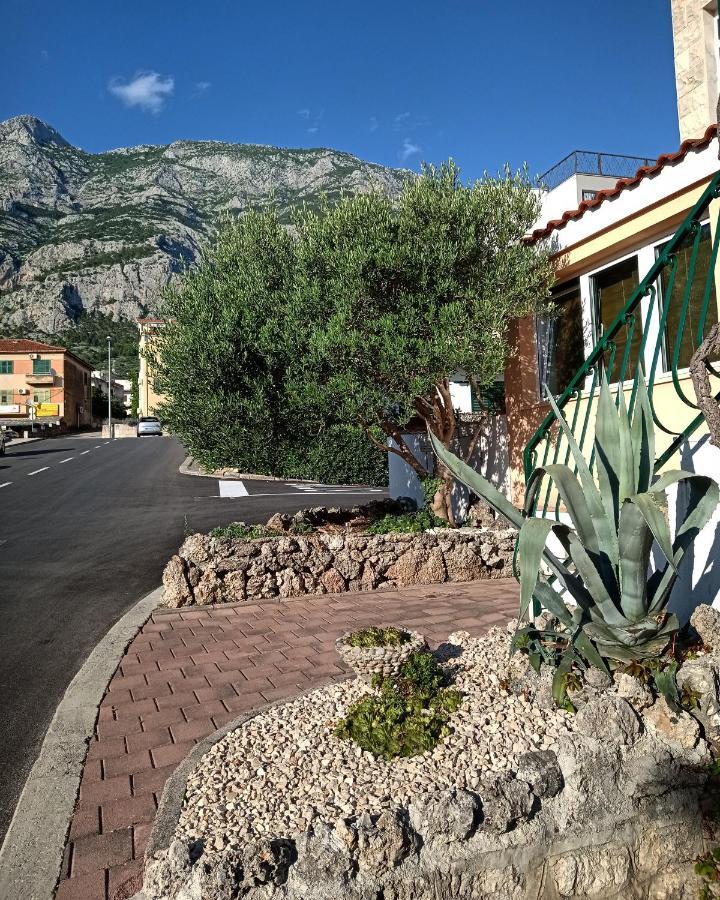 Family Vitlic * Makarska